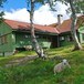 Sommerlig idyll ved hytten.