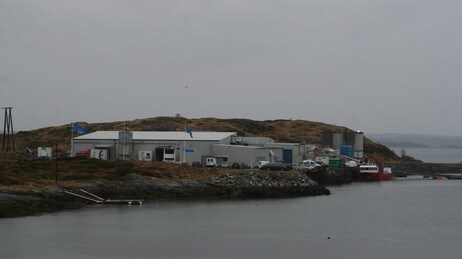 Lerøy Dolmøy Hitra (Foto: Linda Bjørgan/NRK)