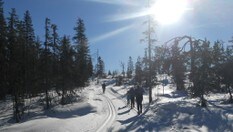 Turen starter i lett oppoverbakke og sol.