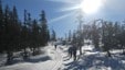 Turen starter i lett oppoverbakke og sol.
