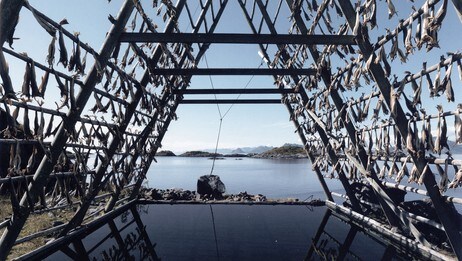 Per Barclay: Lofoten V (lettbeskåret). (Foto: Nina Skurtveit/NRK) Per Barclay: Lofoten V (lettbeskåret). (Foto: Nina Skurtveit/NRK)