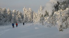 Skitur (Foto: Helle Andresen/Den Norske Turistforening)