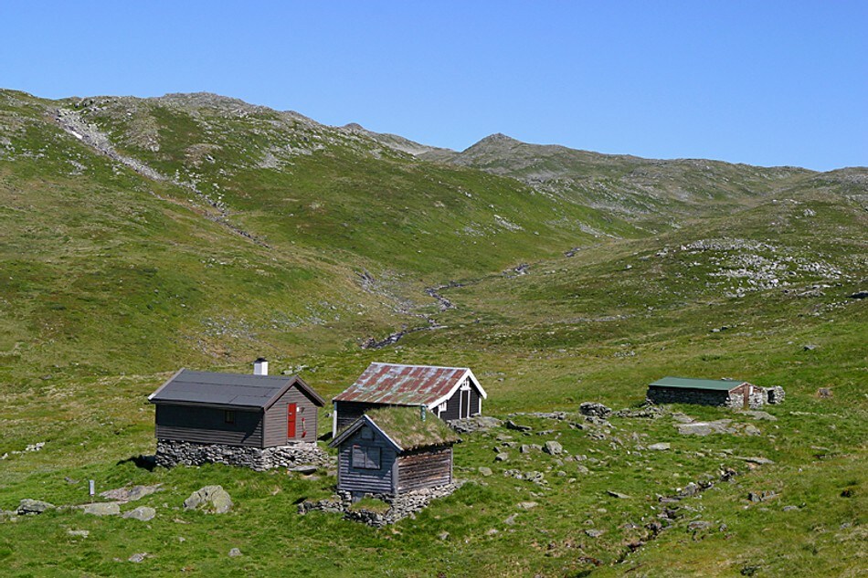 Godt turterreng fra hytten