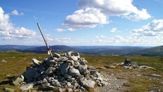 Toppvarden