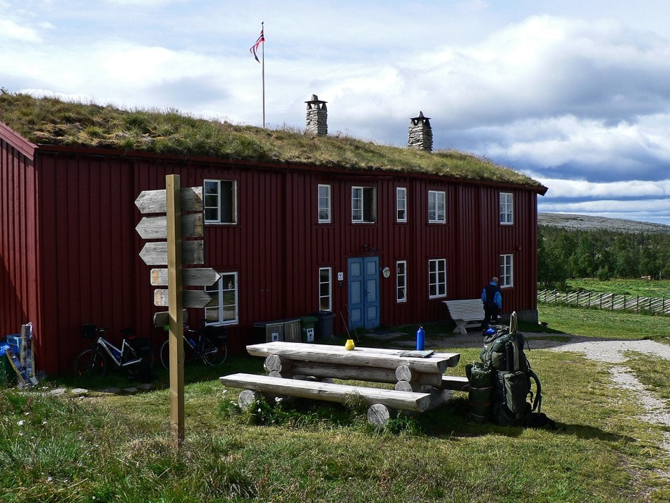 Svukuriset. Bildet er tatt sommeren 2008