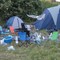 Måkene koste seg også på festival. Måkene koste seg også på festival.