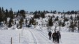 Fra HHTs fellestur Sjusjøen-Gåsbu i 2010