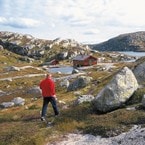 Børsteinen
