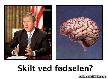 Bush og hjerne: Skilt ved fødselen? (Foto: Fotofikling: Alltid Moro) Bush og hjerne: Skilt ved fødselen? (Foto: Fotofikling: Alltid Moro)