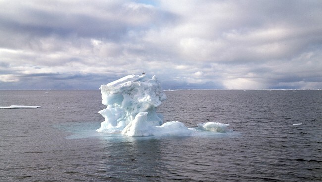 Arktis (Foto: AAGE STORLØKKEN, Storløkken, Aage)