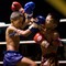 Vitenskapen om åtte lemmer. I Muay Thai skal man bruke mer hender, føtter, knær og albuer mot motstanderen.
