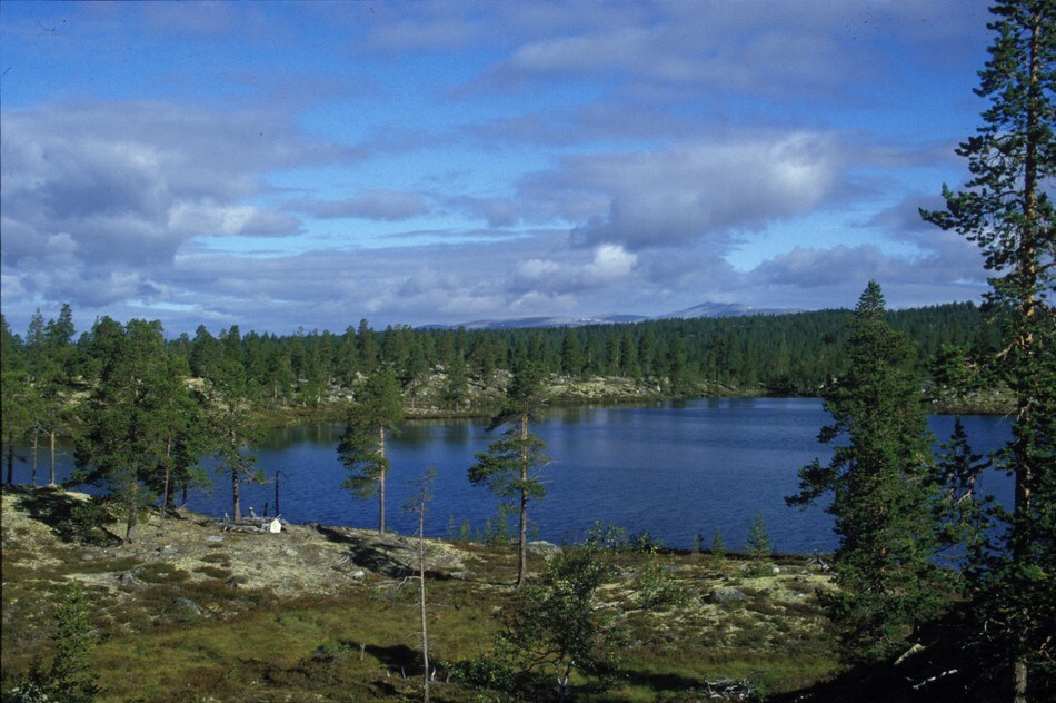 Terrenget i Femundsmarka varierer fra skog til høyfjell og åpne vidder, uten å være anstrengende