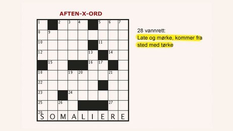 rasistisk kryssord rasistisk kryssord