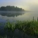 Finnskogen