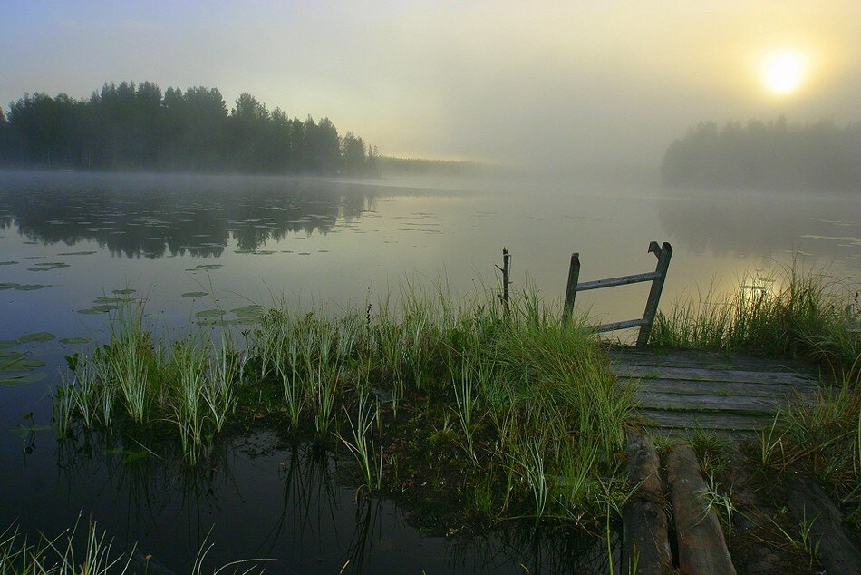 Finnskogen