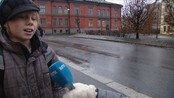 Lillebjørn blir musikal - Lillebjørn blir musikal