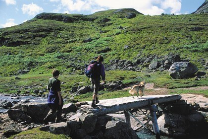 Haukeliseter ligger i skillet mellom Hardangervidda i nord og Ryfylkeheiene i sør. Her går merkede T-løyper i begge retninger. I tillegg er det flere flotte dagsturmuligheter ut fra hytta.
