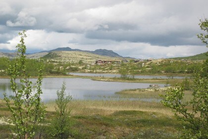 Sølnkletten i Alvadal Vestfjell