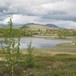 Sølnkletten i Alvadal Vestfjell