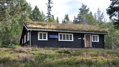 Torsdalsbu