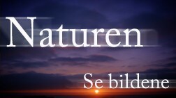 Naturen - se bilder