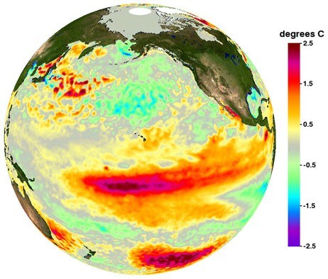 Ny El Nino (Foto: Physical Oceanography Distributed Active Archive Centre of NASA JPL)
