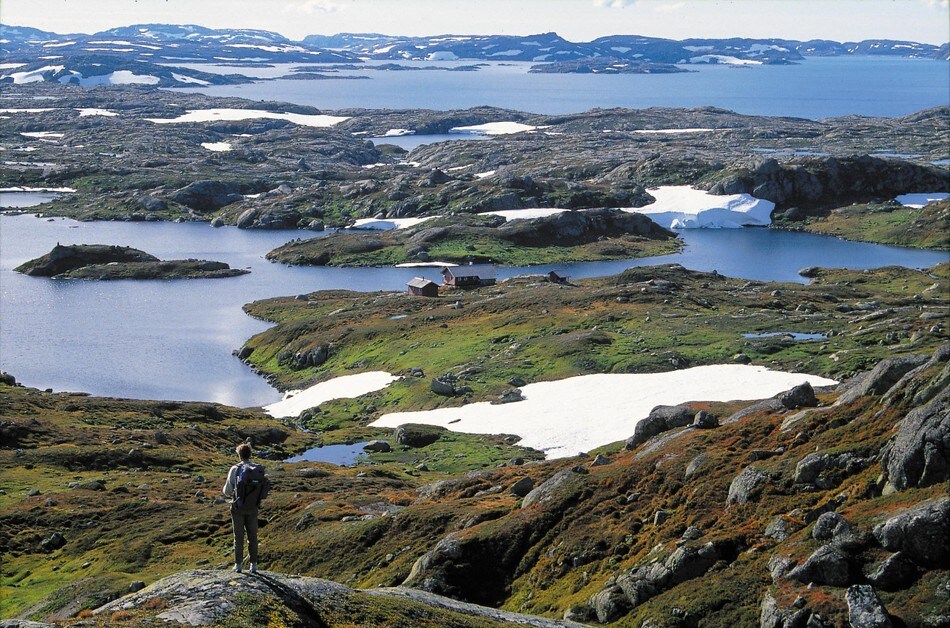 Området rundt Vassdalstjern er grønt og frodig i motsetning til de golde områdene omkring