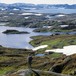Området rundt Vassdalstjern er grønt og frodig i motsetning til de golde områdene omkring