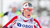 Kristin Størmer Steira