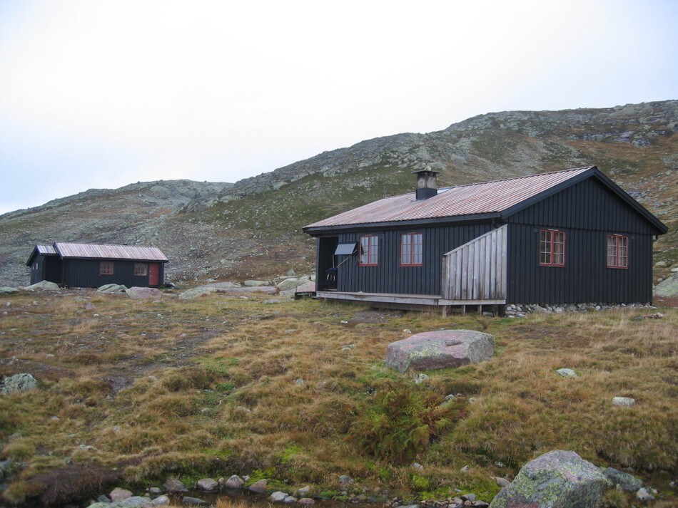 Tjørnbrotbu
