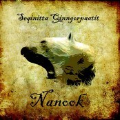 Nanooks CD-cover på debutalbumet. (Foto: Nanook)