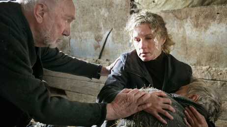 Torunn og Tormod finner Tor i fjøset (Foto: Ekroll, Anne Liv/Anne Liv Ekroll, NRK) Torunn og Tormod finner Tor i fjøset (Foto: Ekroll, Anne Liv/Anne Liv Ekroll, NRK)