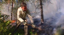 Brann Froland (Foto: Odd Rømteland/NRK)