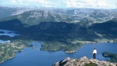 Bjørndalsfjellet