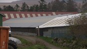Bonde anmeldt for sosial dumping - Landets største mink-oppdretter, som er politianmeldt av Mattilsynet, er nå også anmeldt for sosial dumping.