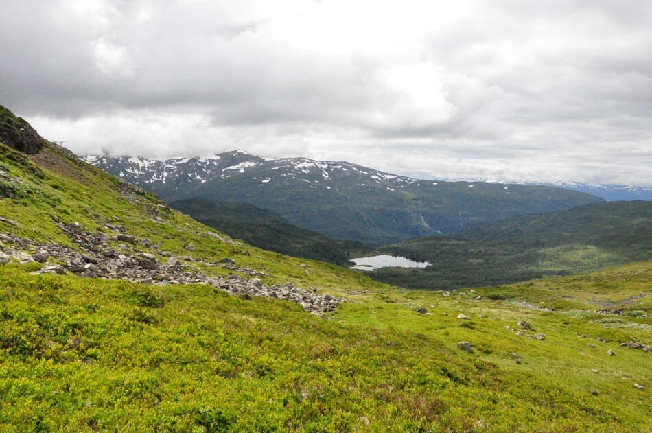 Utsikt mot Vatnaset