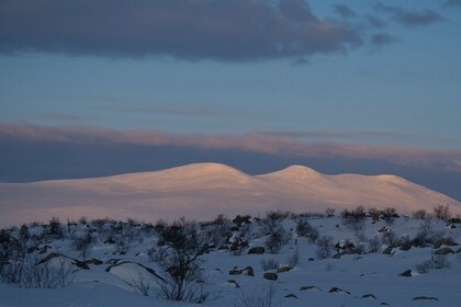 Vakkert morgenlys over Store Svuku, Lavvotur i påsken i Femundsmarka.