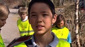 Salamander  - Sjette klasse på Sørlig skole i Nittedal i Akershus har et litt spesielt vårprosjekt. De redder frosker, padder og salamandere fra å dø i trafikken. 
