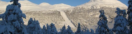 Stryn skisenter (Foto: Oddvar Rune Seljen)