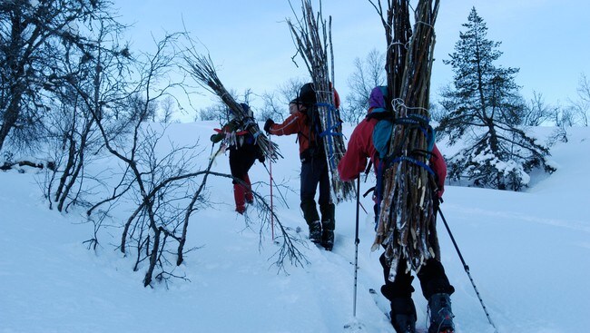 Kvisting i Bergsdalen (Foto: Bergen Turlag)