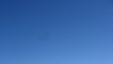 Blånæbba