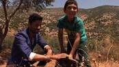 Klasebomber på beitet - Tolv år gamle Muhammed fra Libanon gjeter familiens saueflokk. Det har kostet ham en fot.