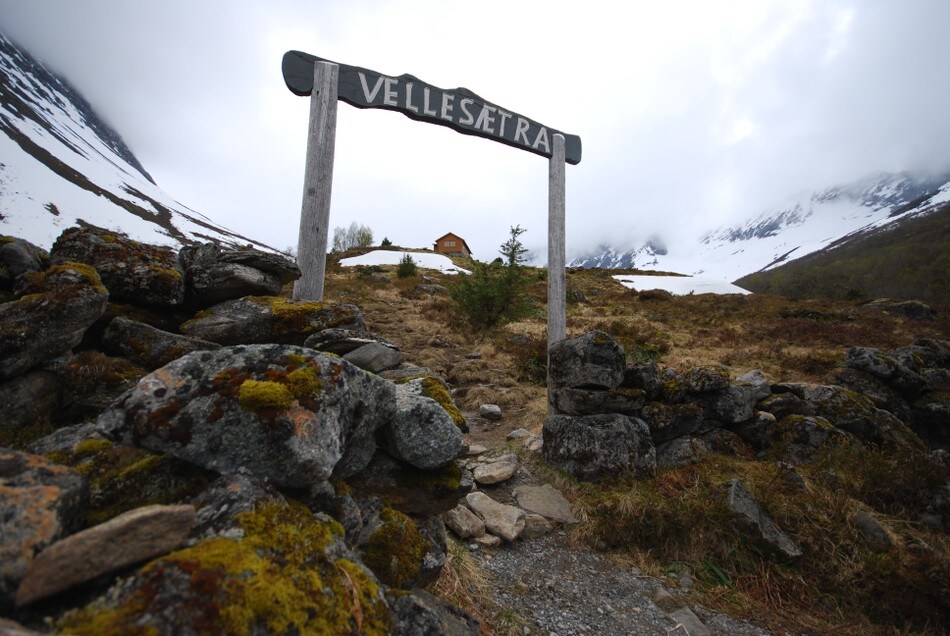 Velleseter