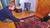 Fant katt uten øyne - Anne Nerheim i Vinje fant en katt uten øyne. Katten var bare fem uker gammel da hun fant den i ei grøft. Hun bestemte seg for å gi katten en ny sjanse i livet. Videoen viser sønnen i lek med "Dyno" og samboeren som har fått et nært forhold til den blinde katta.