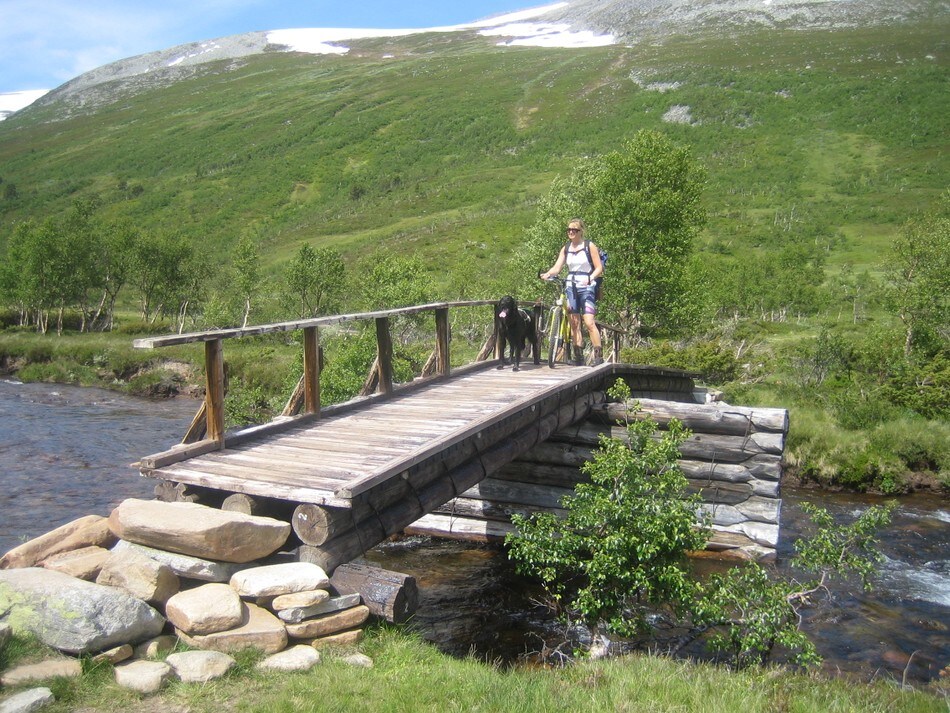Brua øverst i Svartådalen.