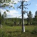 Dag 2: På veg fra Kvitfjellhytta mot Prestøyhytta.