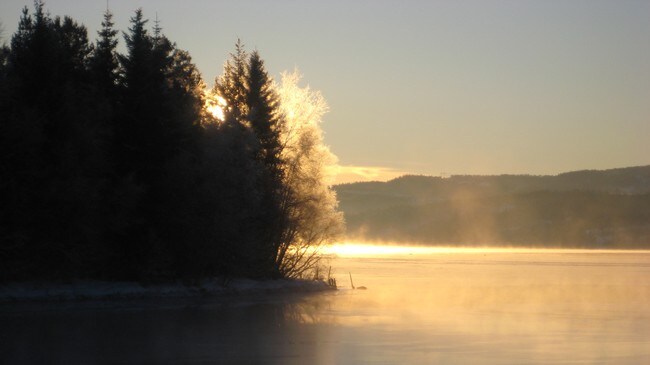 Vintersol (Foto: Ivar Ertsås)
