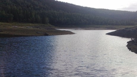 Engavatn i Velfjorden (Foto: Ole-Christian Olsen/NRK)