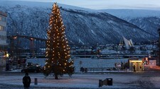 Julegrana i Tromsø (Foto: Håkon Iversen/NRK)