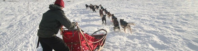 Ingunn Holøymoen foran Femundløpet (Foto: Joar Elgåen, NRK)